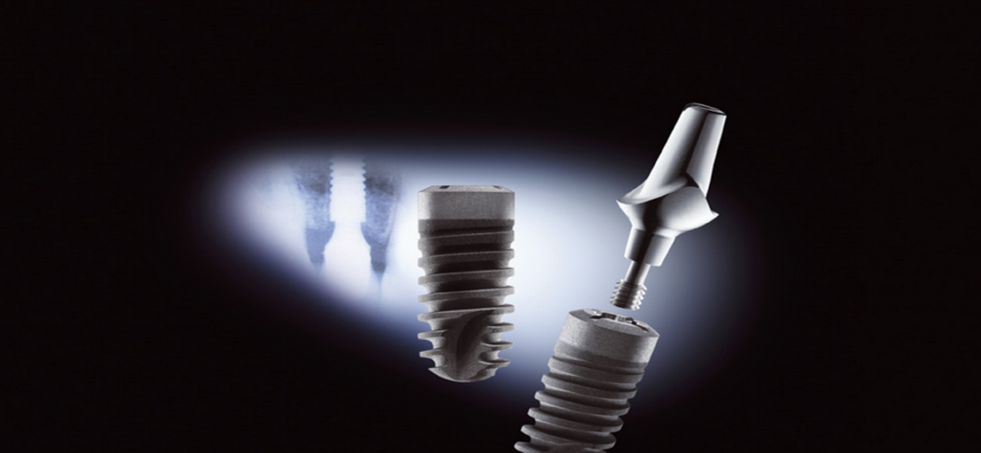 Composants du Système d'Implants Ankylos®